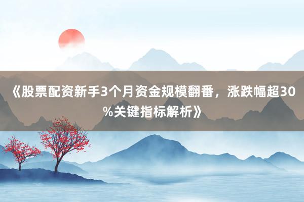 《股票配资新手3个月资金规模翻番，涨跌幅超30%关键指标解析》