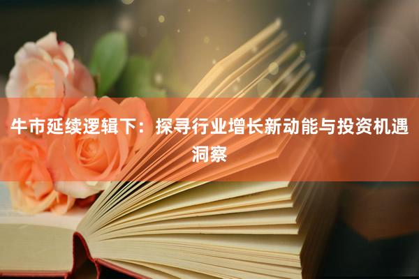牛市延续逻辑下：探寻行业增长新动能与投资机遇洞察
