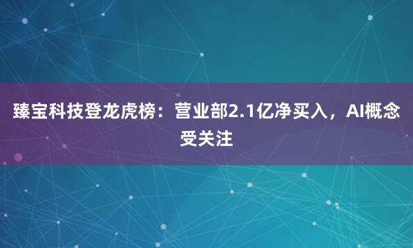 臻宝科技登龙虎榜：营业部2.1亿净买入，AI概念受关注