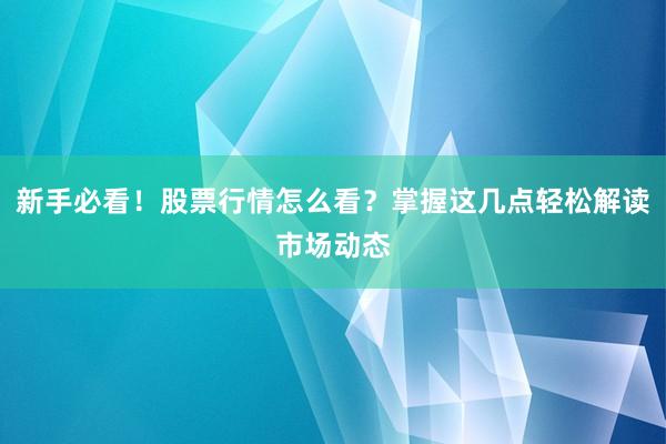 新手必看！股票行情怎么看？掌握这几点轻松解读市场动态