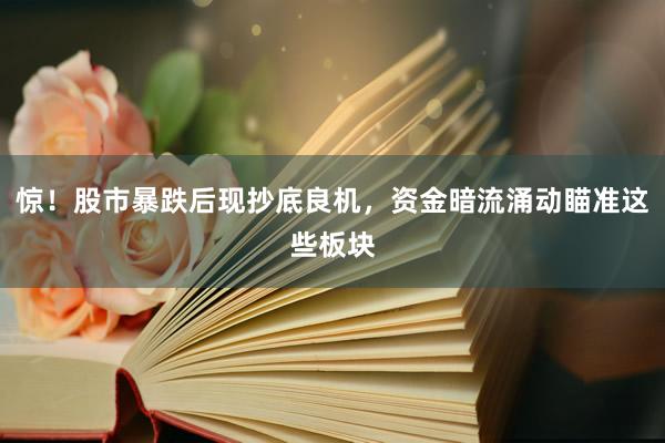 惊！股市暴跌后现抄底良机，资金暗流涌动瞄准这些板块